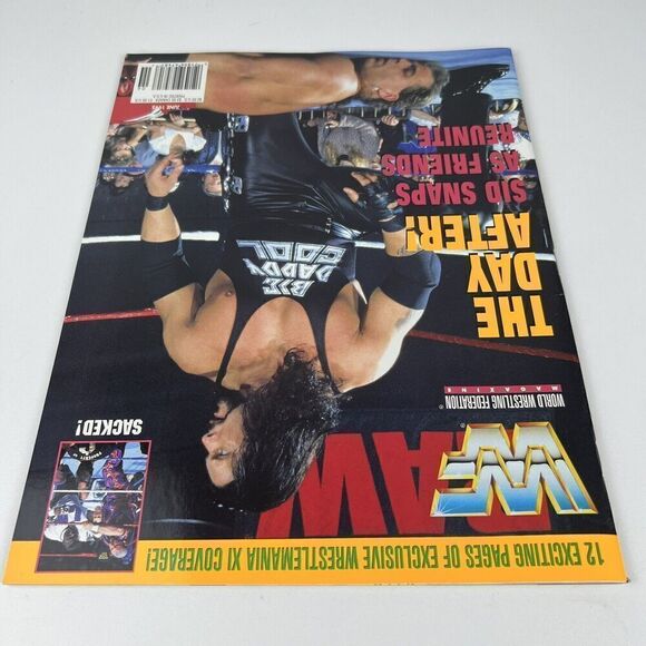 WWF Magazine Diesel & Shawn Michaels June 1995 WWE WWF Kevin Nash With Cards! - Picture 3 of 7